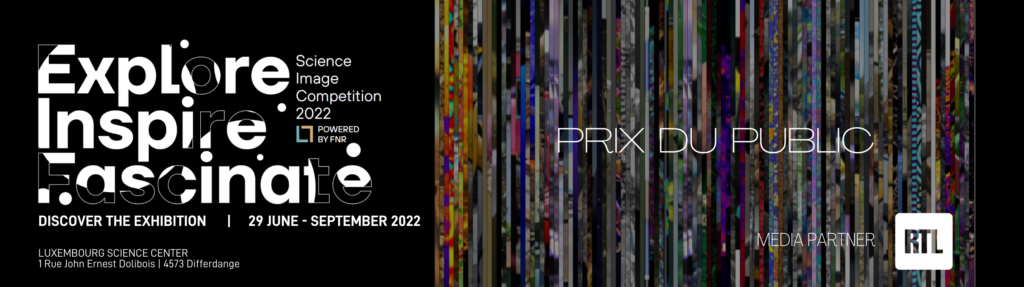 PRIXPUBLIC