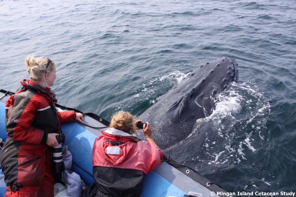 Anna (left) gets to meet a Humpback up close