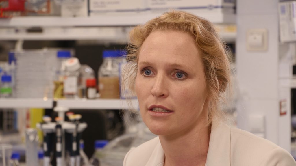 anne lab talking