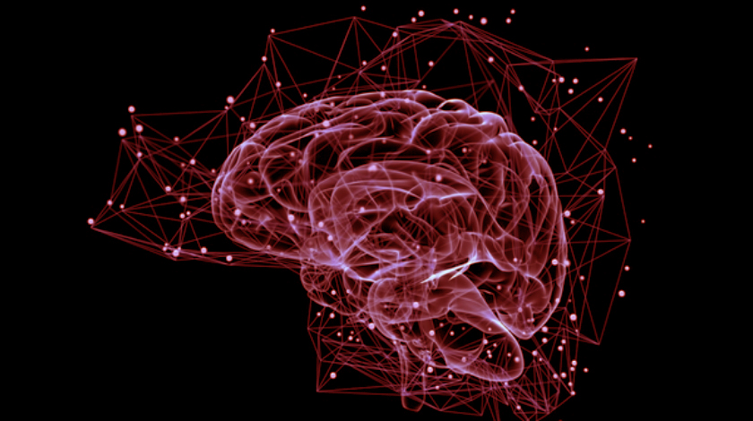 An international, interdisciplinary team of scientists, led by the Luxembourg of Health (LIH), has been able to show that the cells of Glioblastoma – an extremely aggressive type of brain tumour – can adapt to their environment and transform their surface structure. The new insights could help optimise future treatments.