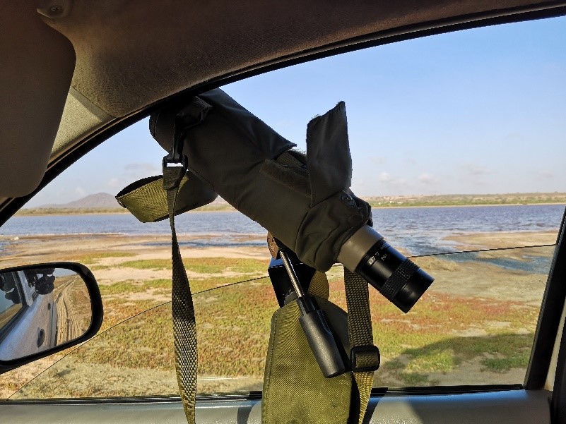 Fieldwork atSalina do Porto Ingles