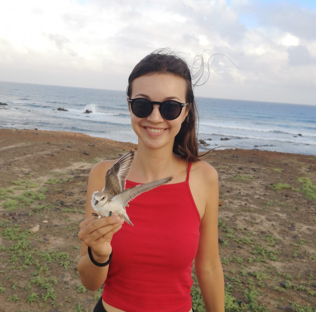 Noémie Catherine Engel has just begun her researcher journey - and she has found her niche already: As part of her AFR PhD at the University of Bath, the Luxembourg national investigates the evolution of sex role traits in a small shorebird species in Cape Verde.