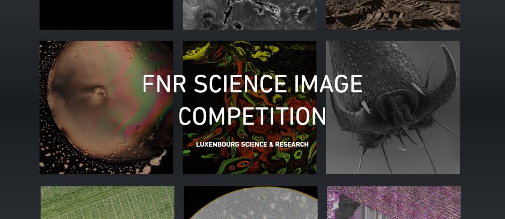 The FNR Science Image Competition was organised for the first time in 2019 on the occasion of the FNR’s 20th anniversary. The project has multiple aims: to show the growing role of images in scientific research, to reveal how scientific work is conducted, to give a face to the researchers conducting it and to present various ways to engage the public with science.