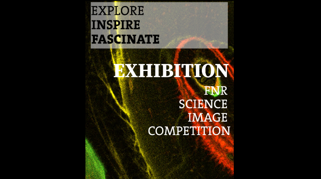 Following the FNR Science Image Competition, first organised in 2019 on the occasion of the FNR’s 20th anniversary, the awarded photos can now be discovered at an exhibition in Luxembourg City! The campaign has multiple aims: to show the growing role of images in scientific research, to reveal how scientific work is conducted, to give a face to the researchers conducting it and to present various ways to engage the public with science.