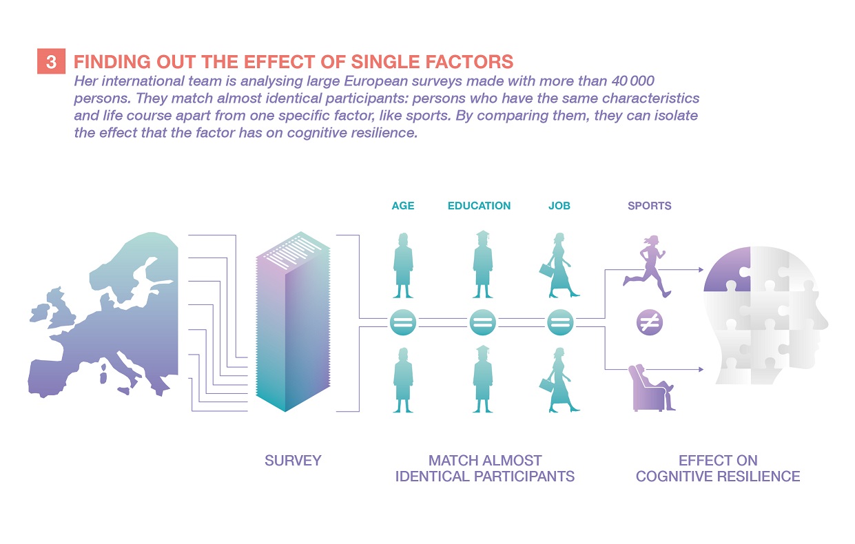 Infographics by Ikonaut