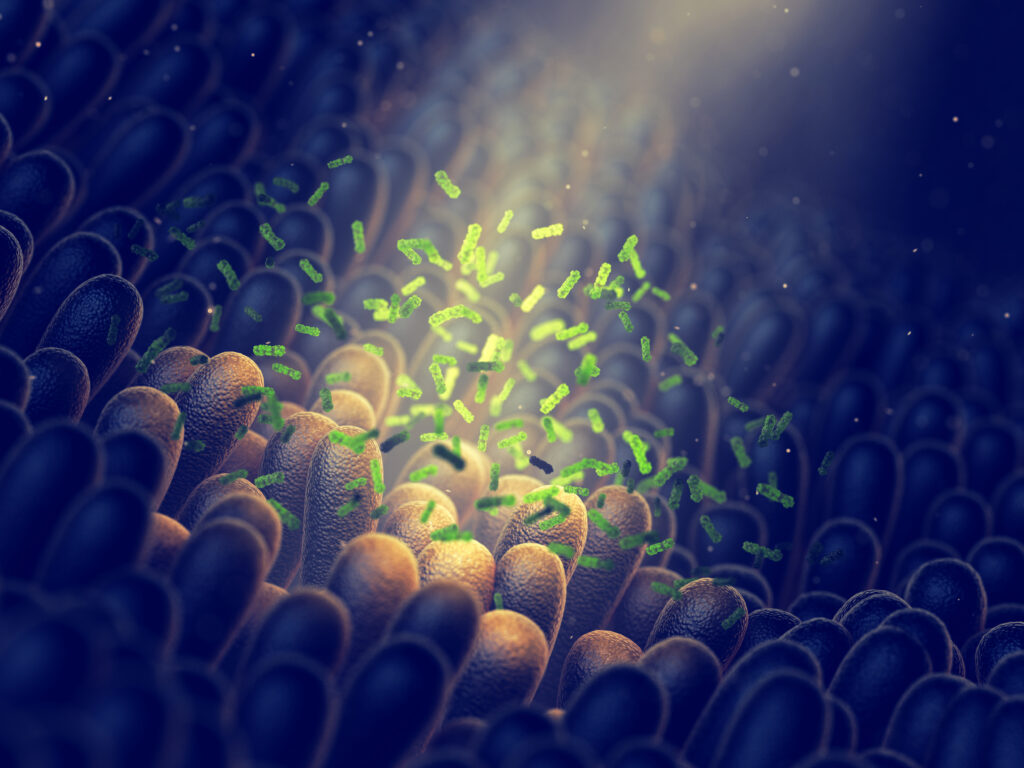 Studying the dynamics of microbial communities over several microbial generations, a team of Luxembourg researchers have gained insight into the microorganisms that live in biological wastewater treatment plants. This knowledge can ultimately help predict and control microbial communities – including the human microbiome.