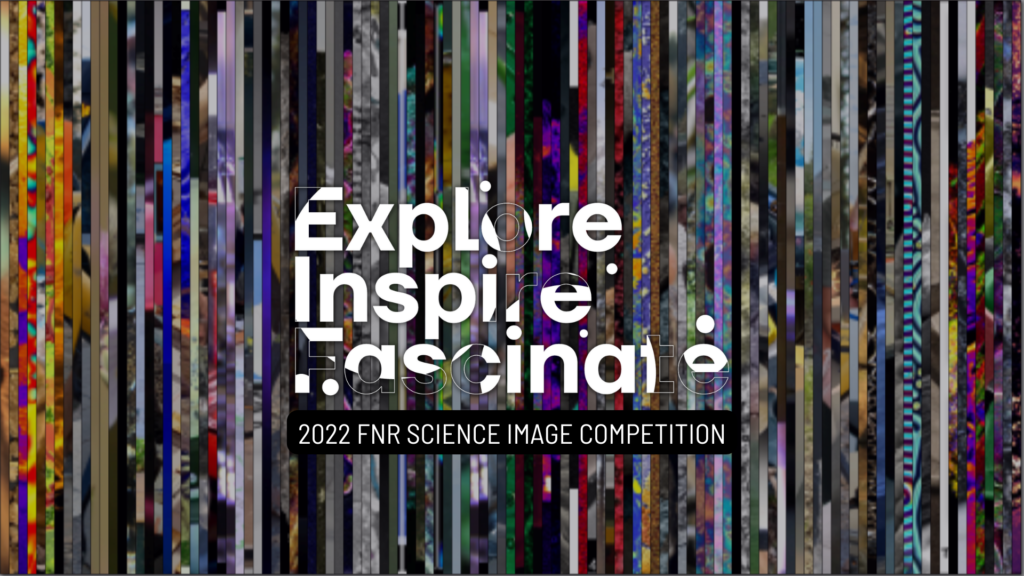 The FNR is pleased to announce the 'awarded' and 'distinction' images of the 2022 FNR Science Image Competition, including the first ever 'Prix du Public'! The FNR Science Image Competition has multiple aims: to show the growing role of images in scientific research, to reveal how scientific work is conducted, to give a face to the researchers conducting it and to present various ways to engage the public with science. Discover the exhibition at Luxembourg Science Center until late September 2022 and in Luxembourg City until the end of the year!