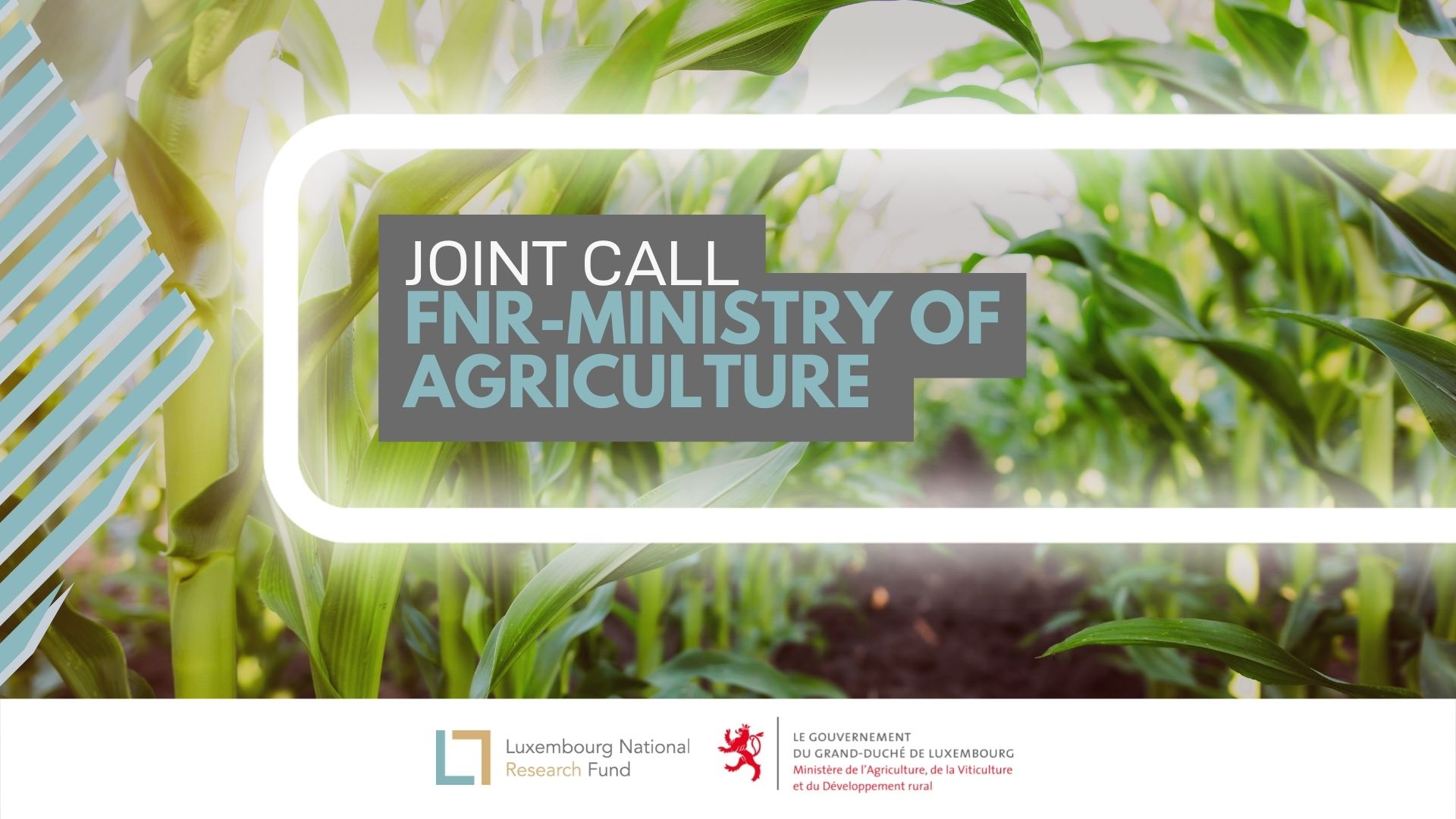 Second joint FNR-MAVDR Call on Sustainable & Resilient Agriculture & Food  Systems - survey | FNR – Luxembourg National Research Fund