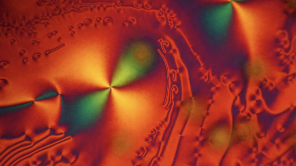 Mäin Element: Johannes Meiser