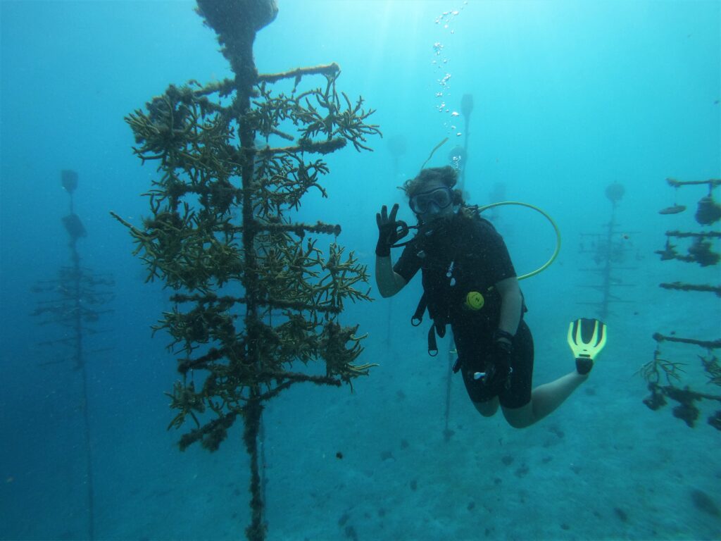 Spotlight on Young Researchers: Saving the coral reefs