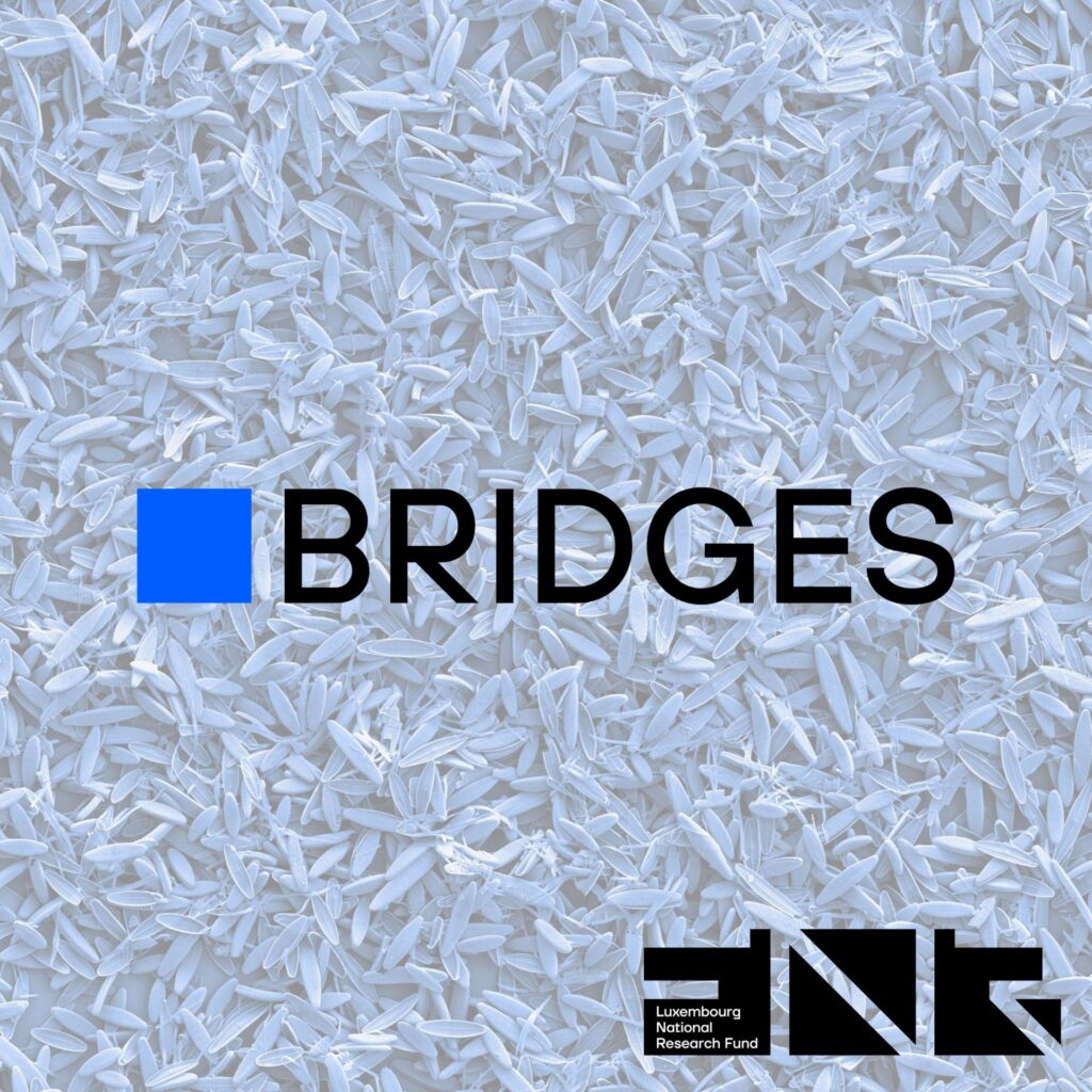 The FNR is pleased to communicate the 2024 BRIDGES Call is now open. Deadline is 18 April 2024, 14:00 CET. Through BRIDGES, the FNR supports industry partnerships between public research institutions in Luxembourg and national or international companies.