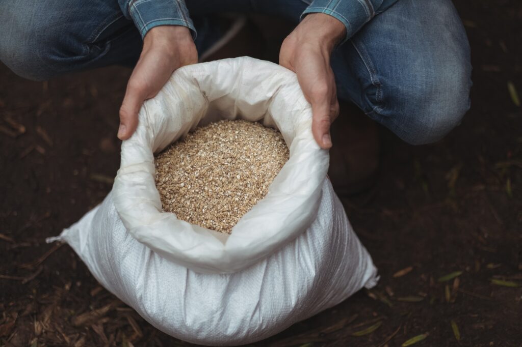 Spotlight on Young Researchers: Bio-waste from beer brewing – upcycling for a more sustainable future