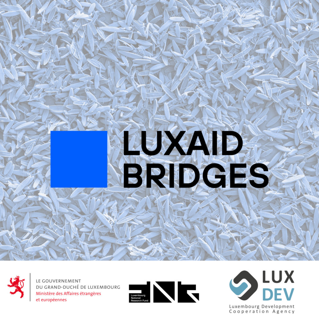 LuxAid BRIDGES: Launch pilot Call