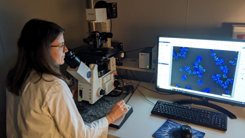 Spotlight on Young Researchers: Using baker’s yeast to understand stress management techniques of cells