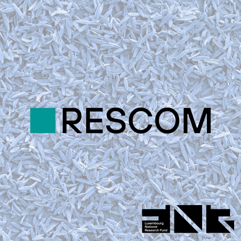 The FNR is pleased to communicate that 16 projects have been selected for funding in the 2023 RESCOM Call, an FNR commitment of 479,200 EUR. Through RESCOM, the FNR supports communication between researchers to promote scientific outcomes. Of the retained proposals, 8 are International Scientific Conferences and 8 are Lecture Series.