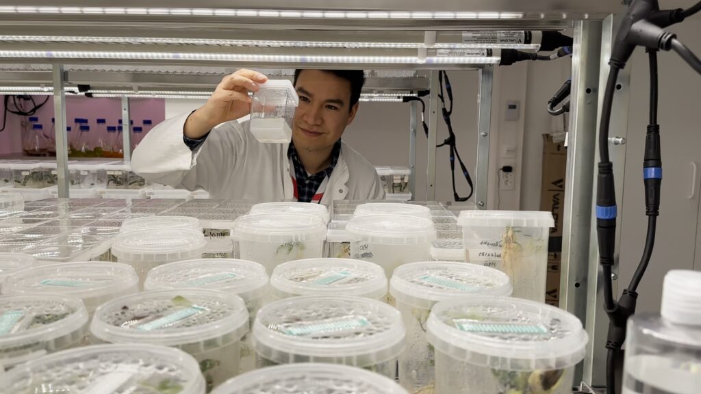Spotlight on Young Researchers: Finding the optimal way to exploit plant metabolites