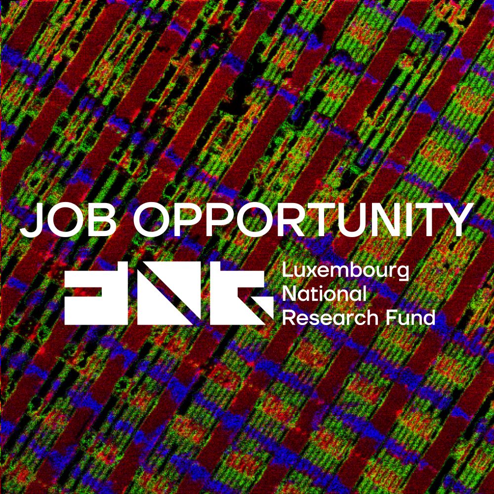 The FNR is seeking to recruit a Programme Support Manager on a full-time (40h/week), permanent (CDI) basis. Deadline to apply is 22 March 2024. Earliest start: 1 July 2024.