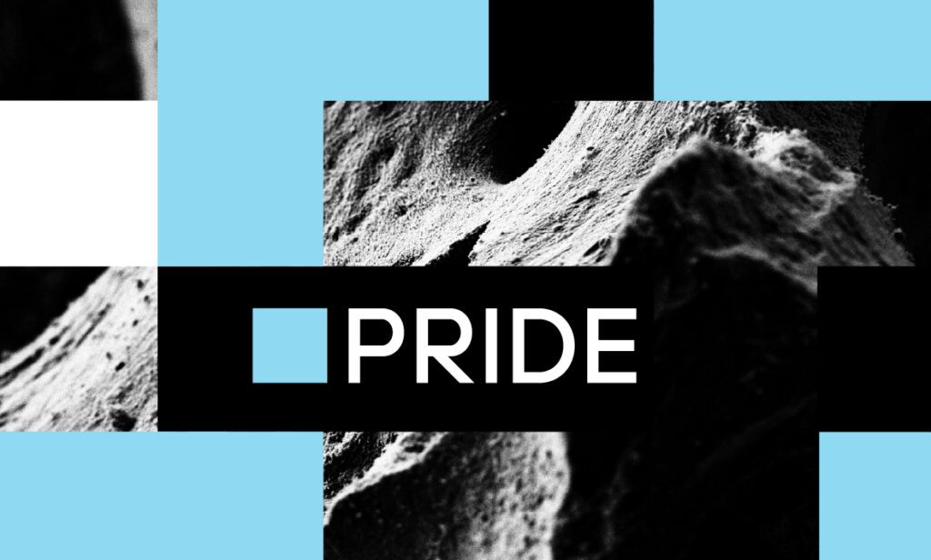 The FNR is pleased to announce the opening of the 2025 PRIDE call. Through PRIDE, the FNR awards a block of PhD grants to a consortium of researchers united around a coherent research and training programme. Deadline is 15 October 2025, 14:00 CET.