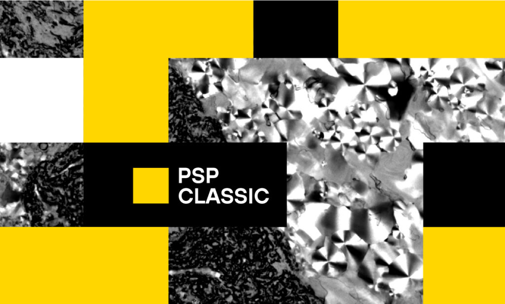 The FNR is pleased to communicate that 17 of 21 projects were selected for funding in the 2025-1 PSP Classic Call, an FNR commitment of 414,004 EUR. Through the PSP (Promoting Science to the Public), the FNR supports projects that bring science closer to the general public or students.