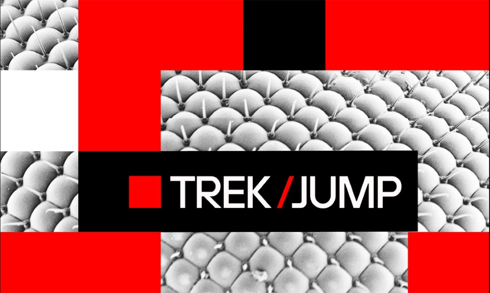 The FNR is pleased to announce the 2026-1 TREK/JUMP Call is now open. Deadline is 26 March 2026, 14:00 CET. The FNR TREK/JUMP programme consists of 2 distinct tracks (TREK and JUMP), a competitive funding instrument, open to all domains, that is designed to bridge the technical and funding gap between research-driven discoveries and their commercialisation/ utilisation, thereby enhancing the impact of Luxembourg’s research on the economy and society.